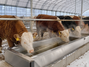 Heated Stainless Steel Livestock Water Trough for Winter Farms Custom Size
