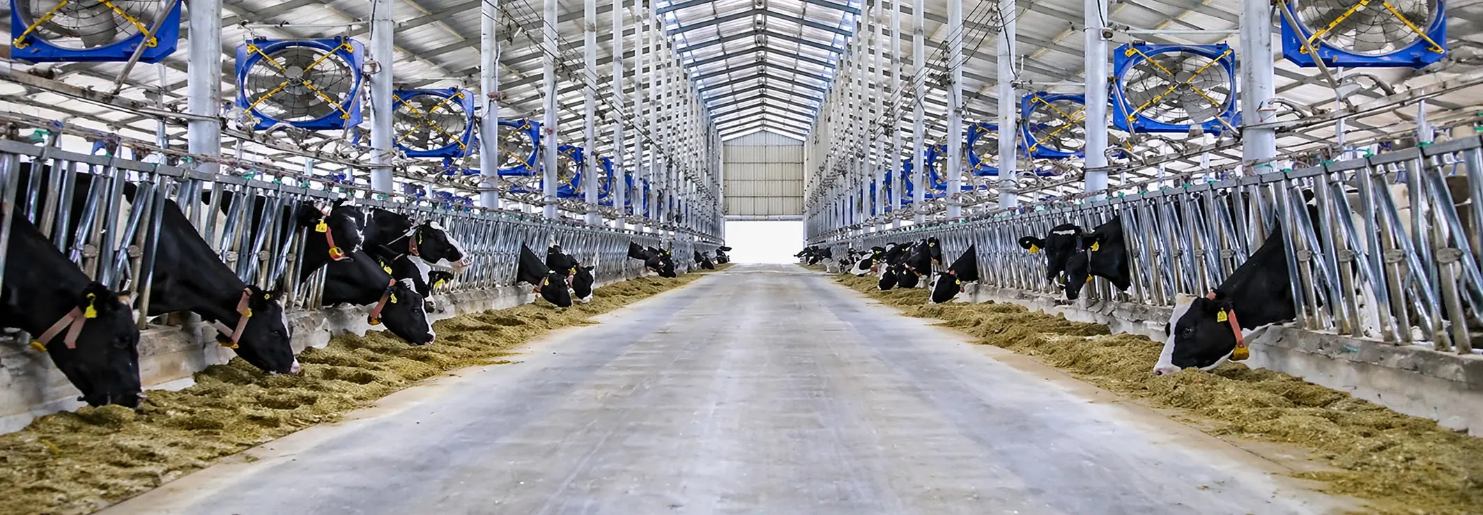 BUILT FOR MODERN LIVESTOCK FARMS