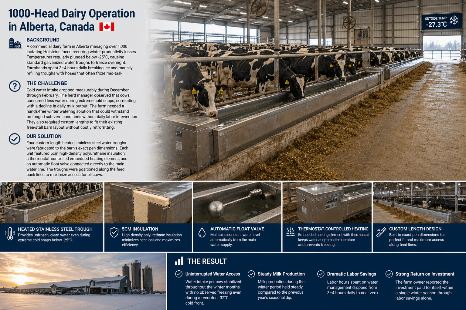 1000-Head Dairy Operation in Alberta, Canada
