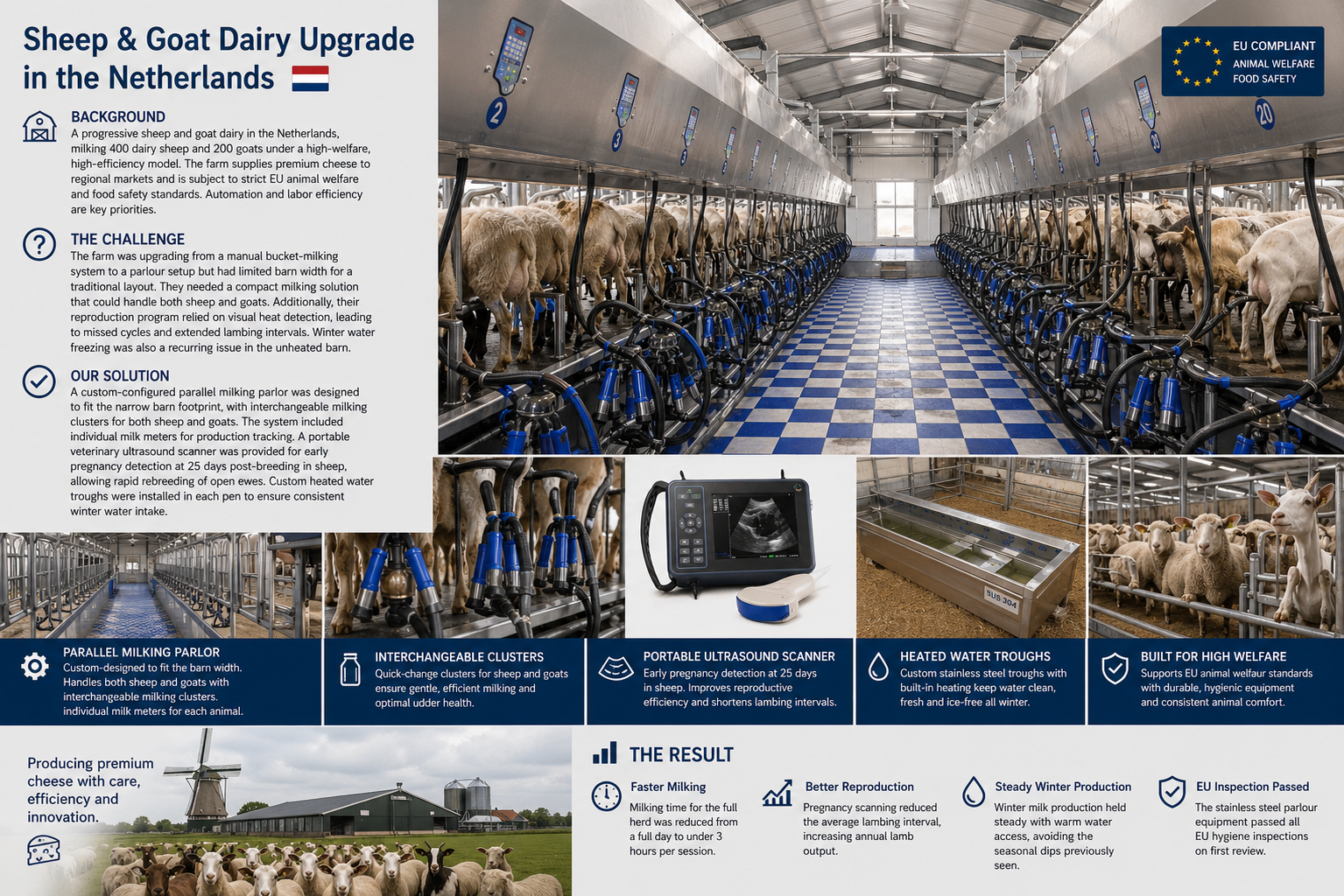Large Sheep & Goat Dairy in the Netherlands