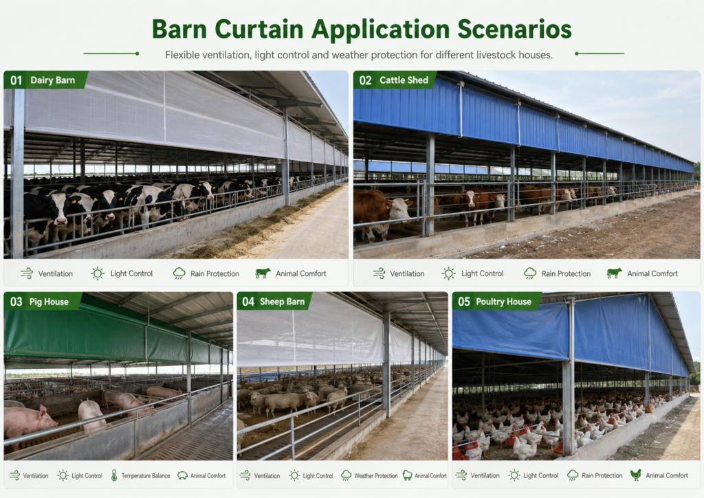 Barn curtains used for dairy barns cattle sheds pig houses sheep barns and poultry houses
