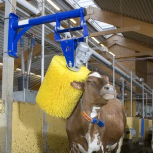 Cattle Brush for Dairy Cows and Beef Cattle Grooming