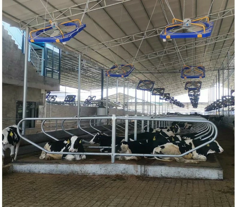Cow Cubicles and Freestall Loops for Dairy Barns