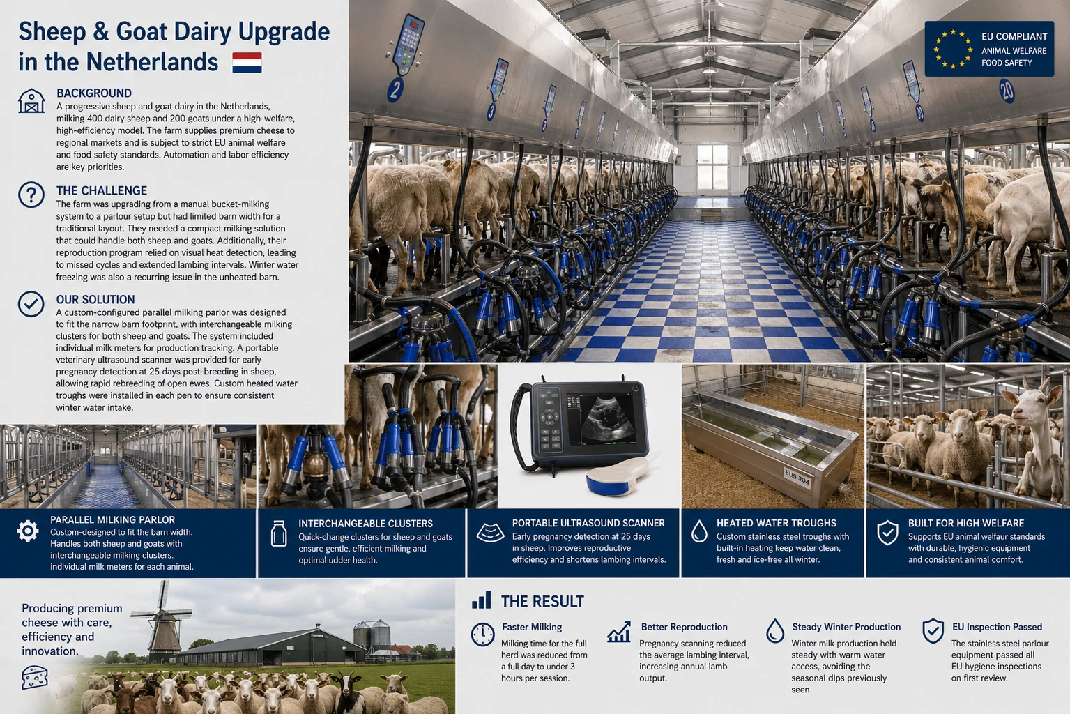 Large Sheep & Goat Dairy in the Netherlands