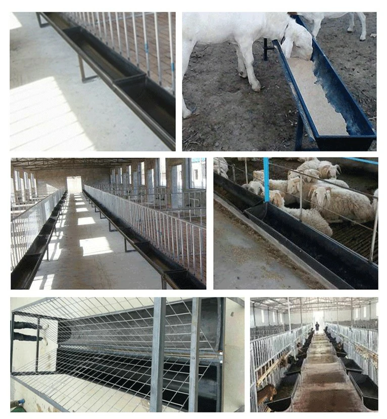 Plastic feed trough used in sheep goat calf and cattle feeding areas on livestock farms